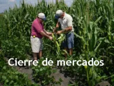 PMTV: 