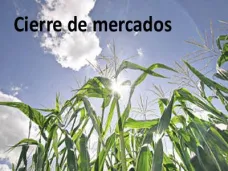PMTV: 