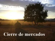 PMTV: 
