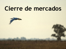PMTV: 