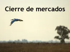 PMTV: 