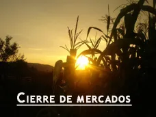 PMTV: 