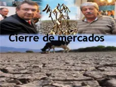 PMTV: 
