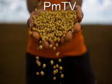 PMTV: 