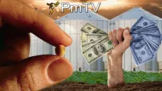 PMTV: NEA y Núcleo presentan diferencia en rindes de soja debido a los anegamientos