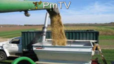PMTV: Jornada voltil para el mercado de la soja en CBOT pero ajust con pocas cadas