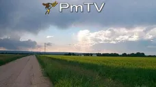 PMTV: Importante recuperación en commodities agrícolas y en valores de petróleo