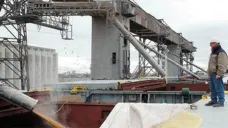 PMTV: La soja superó los U$S 360/Tn. El sector molinero aprovechó las bajas