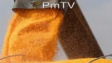 PMTV: Subas mayores a U$S 2/Tn para el mercado de la soja. Cifras de exportaciones semanales
