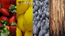 PMTV: Importantes caídas en futuros de soja que bajaron más de U$S6/Tn