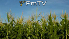 PMTV: La soja finalizó con mermas. Se mantienen las proyecciones de producción en Argentina