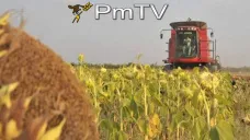 PMTV: Alzas de hasta U$S 6/Tn en los commodities agrícolas