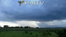 PMTV: Jornada volatil con los valores de soja cerrando en terreno negativo