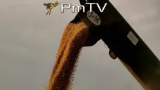 PMTV: Comenzó con demoras la siembra 15/16 en EEUU. El maíz registró aumentos