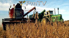PMTV: Soja con caídas de U$S 4/Tn y el trigo bajó U$S 3,5/Tn