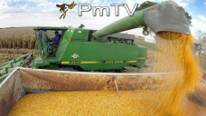 PMTV: Soja con caídas de u$s 6/Tn., maíz sin variaciones y trigo con subas