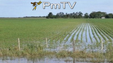 PMTV: Subas de U$S 8/Tn para soja y de U$S 1/Tn en maíz y trigo