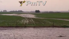 PMTV: Futuros de soja retrocedieron U$S 4/Tn y los de trigo presentaron leves alzas