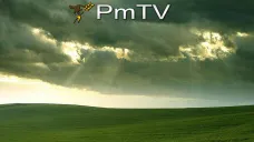 PMTV: Futuros de soja cotizaron con pérdidas de U$S 4/Tn y el trigo con ganancias de U$S 6/Tn