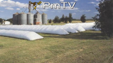 PMTV: Leve recuperación en futuros de soja. Maíz en baja