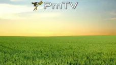 PMTV: Subas en soja, variaciones a la baja en maíz y jornada mixta en trigo de CBOT