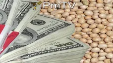 PMTV: Alzas para soja y trigo. Leves variaciones en maíz