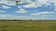 PMTV: Elevan proyección de soja y maíz argentino. Posibles lluvias favorables