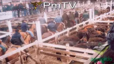 PMTV: Los pronósticos de lluvia en Argentina presionaron a los precios. Pérdidas en MATBA
