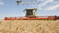 PMTV: Futuros de soja con leves bajas ante los avances de cosecha en Brasil