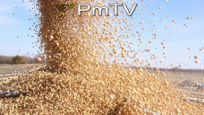 PMTV: Caídas superiores a los U$S 4/Tn para soja, maíz y trigo de CBOT.