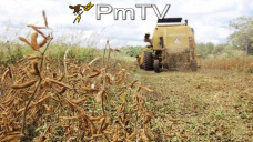 PMTV: La soja llegó a dispararse hasta U$S 7/Tn en los contratos de CBOT 