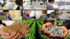 PMTV: Perdidas de U$S 19/Tn en soja y ventas norteamericanas por 120 mil tns