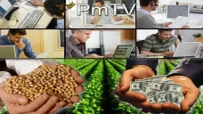 PMTV: Perdidas de U$S 19/Tn en soja y ventas norteamericanas por 120 mil tns