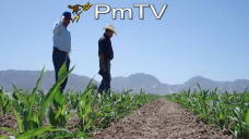 PMTV: Continúan las marcadas subas: Soja U$S 7/Tn y Maíz U$S 3/Tn