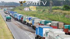 PMTV: Activo interés por operaciones de soja y maíz disponible