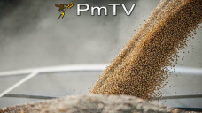 PMTV: Última jornada de la semana hizo repuntar los valores de la soja U$S 3/Tn