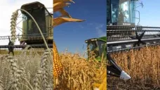 Los granos cierran estables, sin grandes cambios