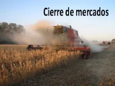 PMTV: 