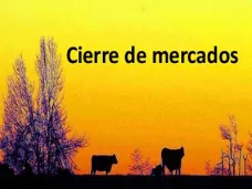PMTV: 