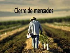 PMTV: 