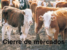 PMTV: 