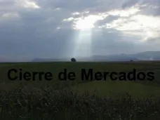 PMTV: “El aceite de soja se negoció en los niveles más altos de los últimos dos años”