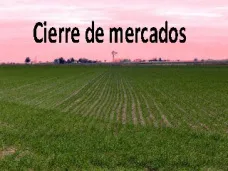 PMTV: “Futuros de soja y trigo finalizaron la rueda de Chicago con pérdidas”