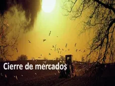 PMTV: 