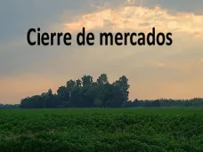 PMTV: 