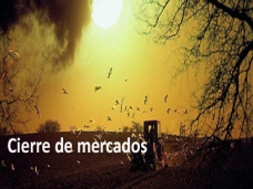 PMTV: 