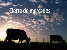 PMTV: 