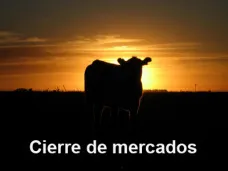 PMTV: 