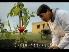 TV-MDC: 