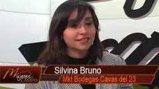 MDC: “Recorrida por la ruta del vino argentino, su industria y exportación”; con Silvina Bruno